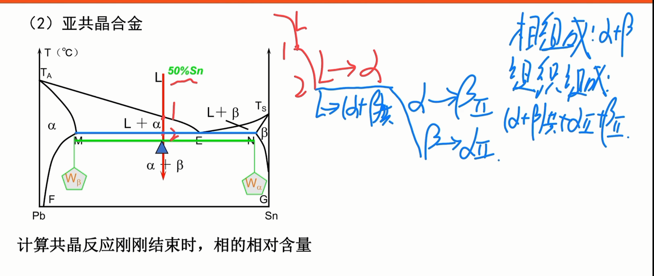 亚共晶合金平衡凝固