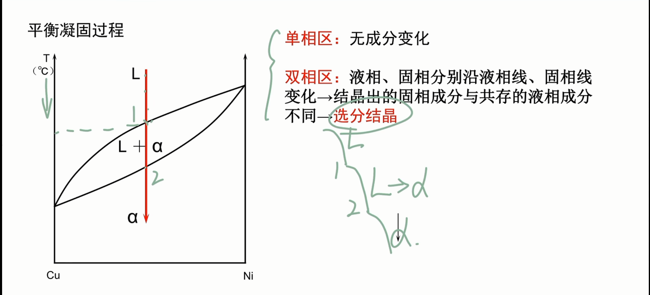 平衡凝固过程
