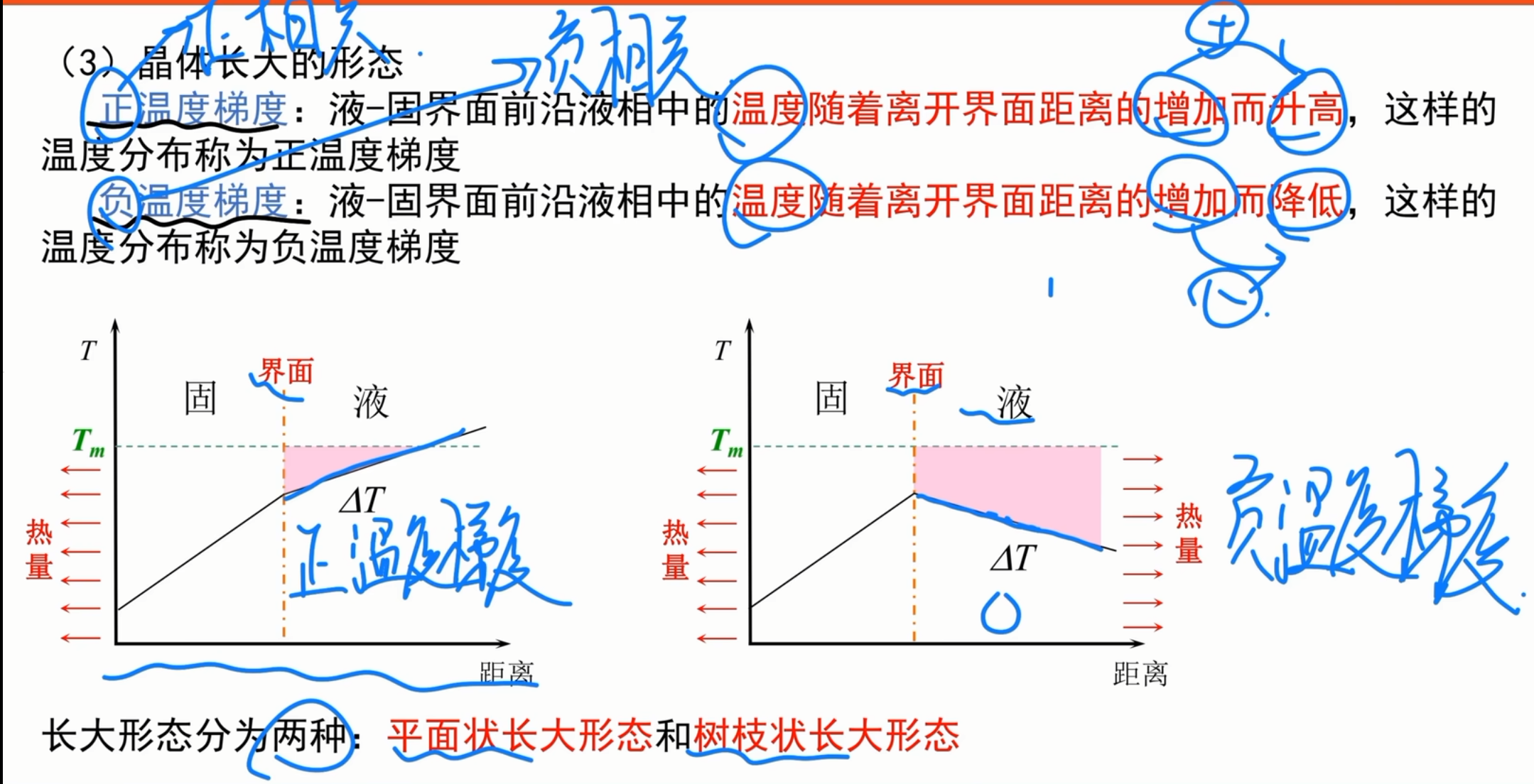 温度梯度与长大形态